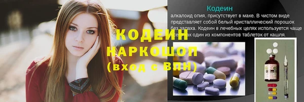 молекула духа Богородицк