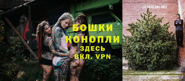 молекула духа Богородицк