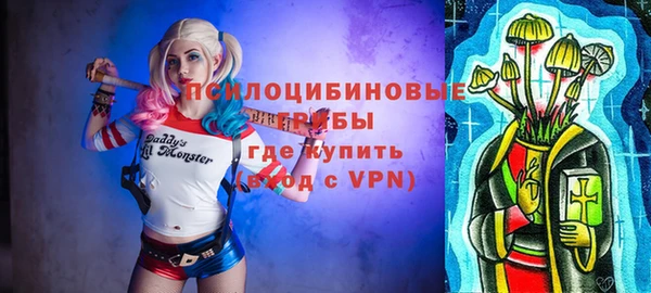 молекула духа Богородицк