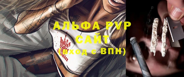 молекула духа Богородицк