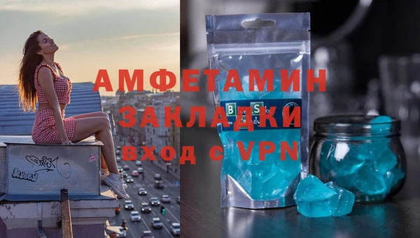 молекула духа Богородицк